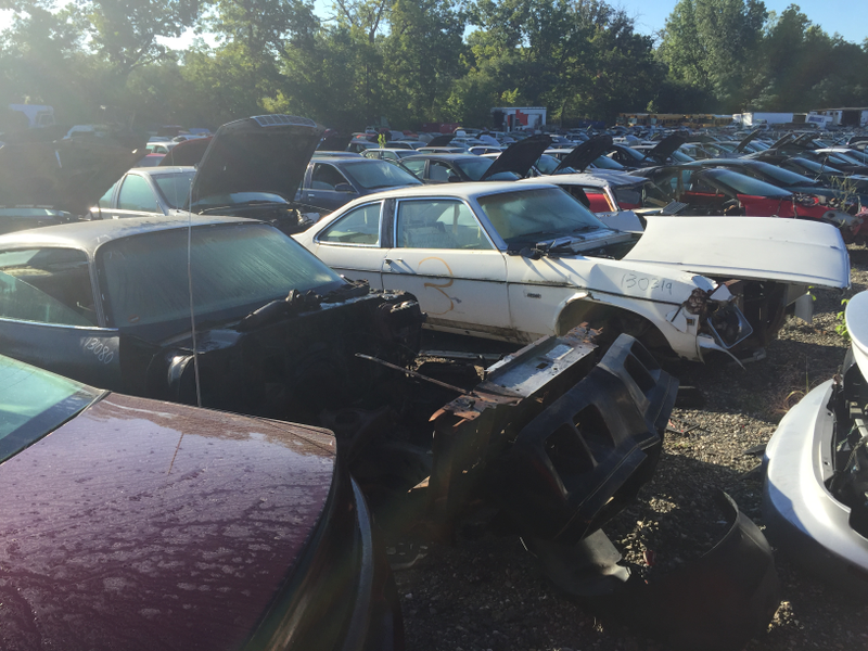 Poor Trans Am!